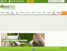 Tablet Screenshot of consoglobe.com